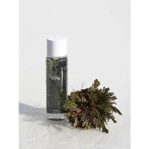 Dr Althea Anastatica Skin Conditioning Toner 250ml - Toner