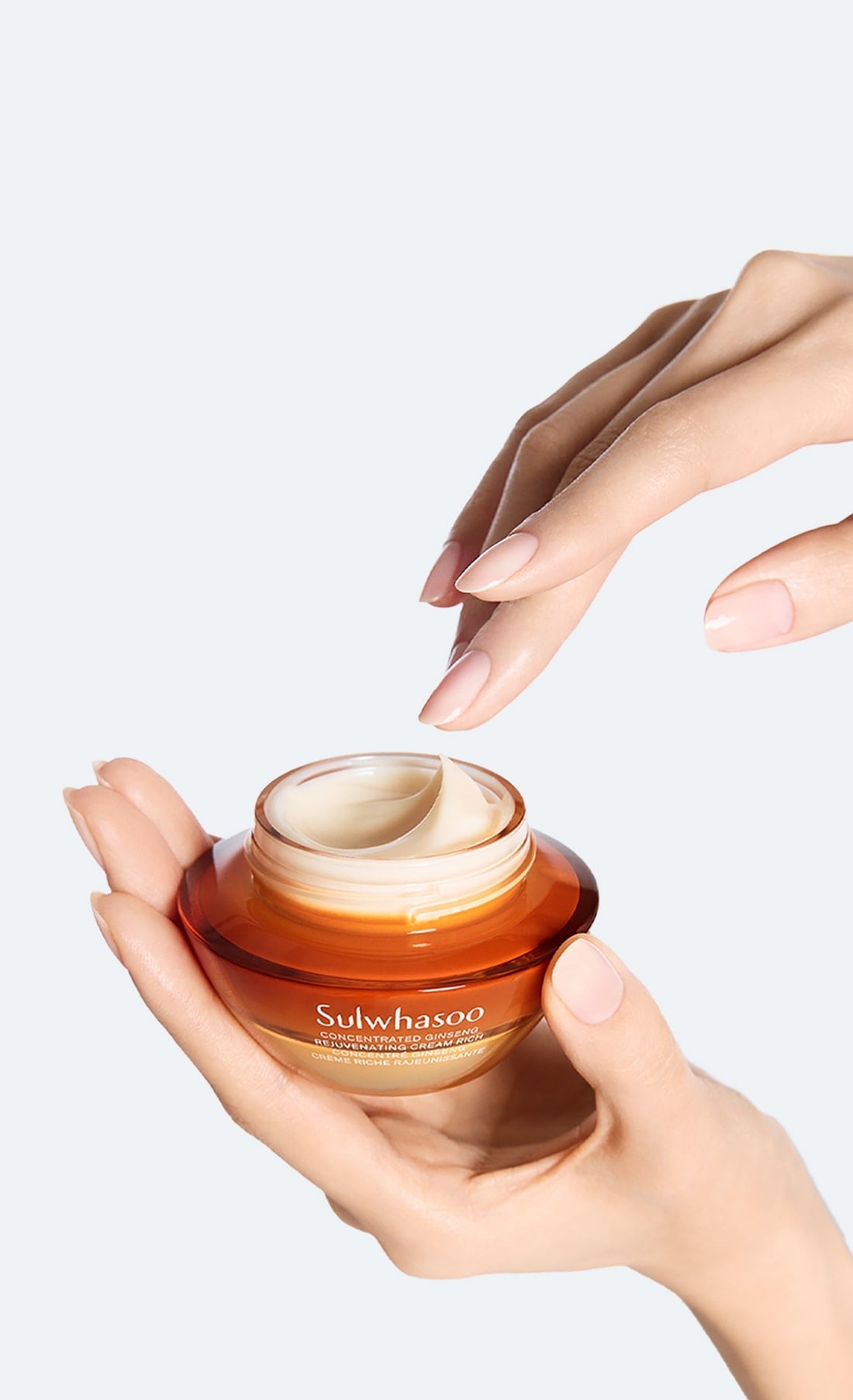 Sulwhasoo Concentrated Ginseng Renewing Cream Rich 30ml - Korean Beauty US