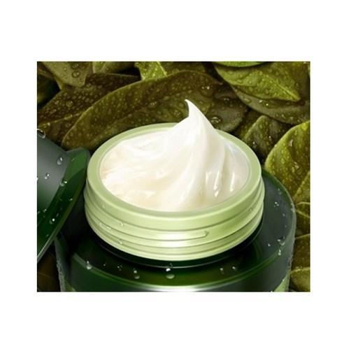 TONYMOLY The Chok Chok Green Tea Watery Moisture Cream 100ml - Korean Beauty US